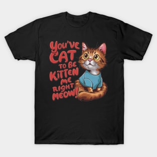 Cat Lover - Youve Cat to be Kitten Meow T-Shirt